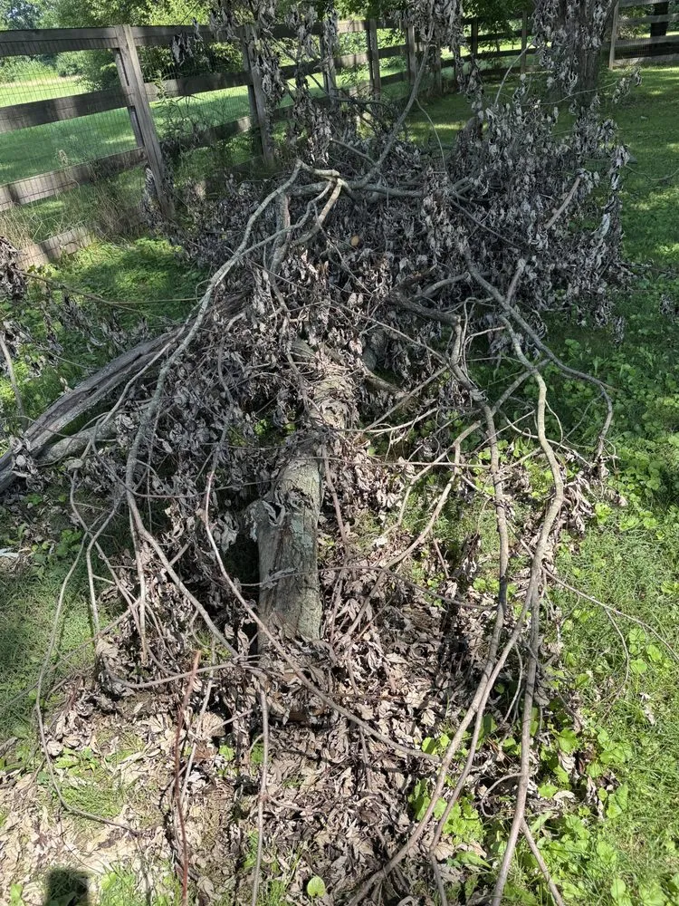 Top-rated garden landscaping for year-round maintenance in Wilmington, OH by Master Cuts Tree service