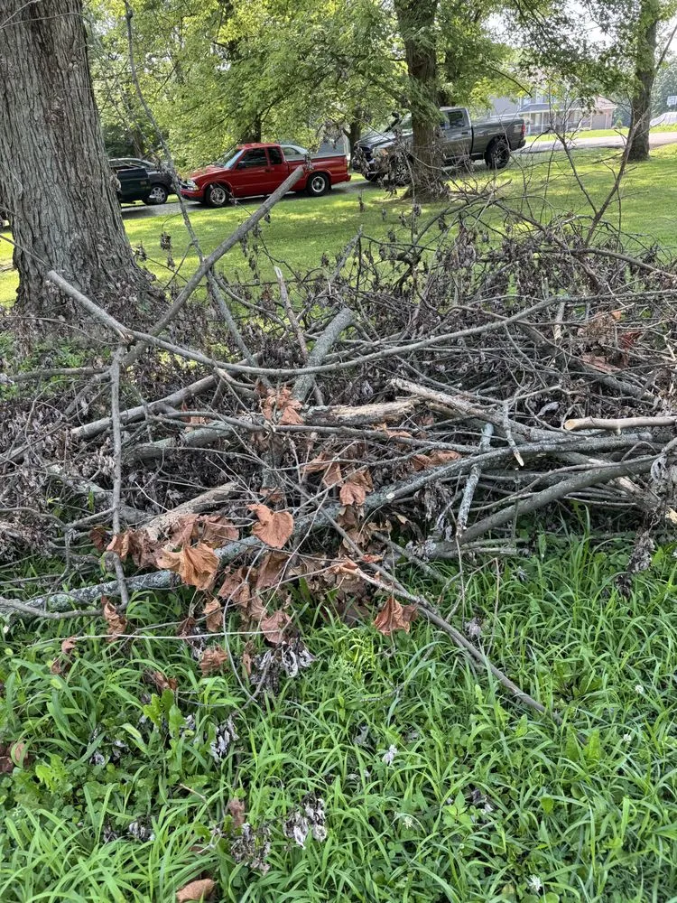 Top-rated yard cleanup service in Wilmington, OH by Master Cuts Tree service