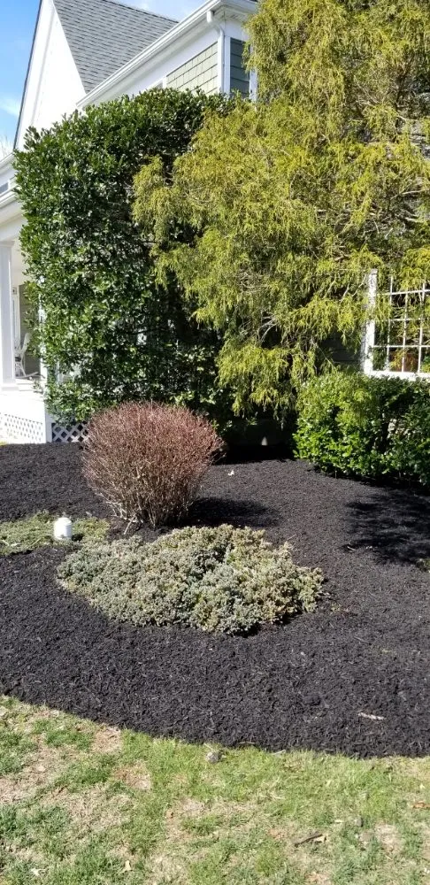 Local lawn care service in Phillipsburg, NJ - Master Designs Landscaping & Construction