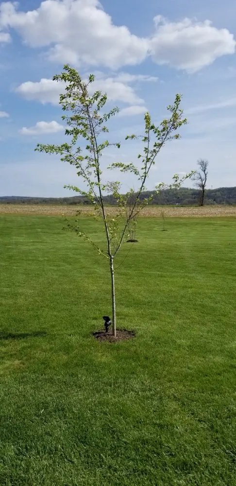 Reliable outdoor landscaping for year-round maintenance across Phillipsburg, NJ - Master Designs Landscaping & Construction