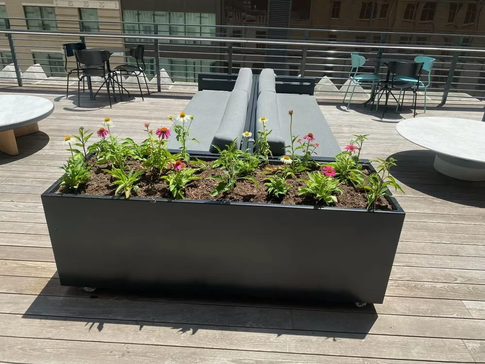 Affordable landscape installation in Houston, TX by Master Fix It