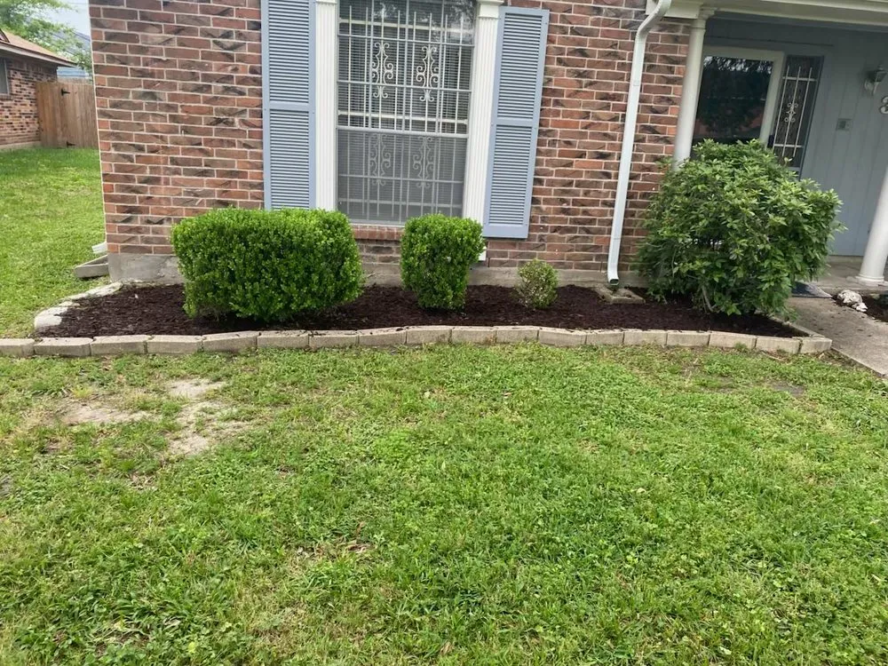 Reliable yard maintenance experts serving Houston, TX - Master Fix It