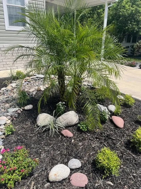 Top-rated landscaping services in St. Petersburg, FL by Master Gardener Landscaping