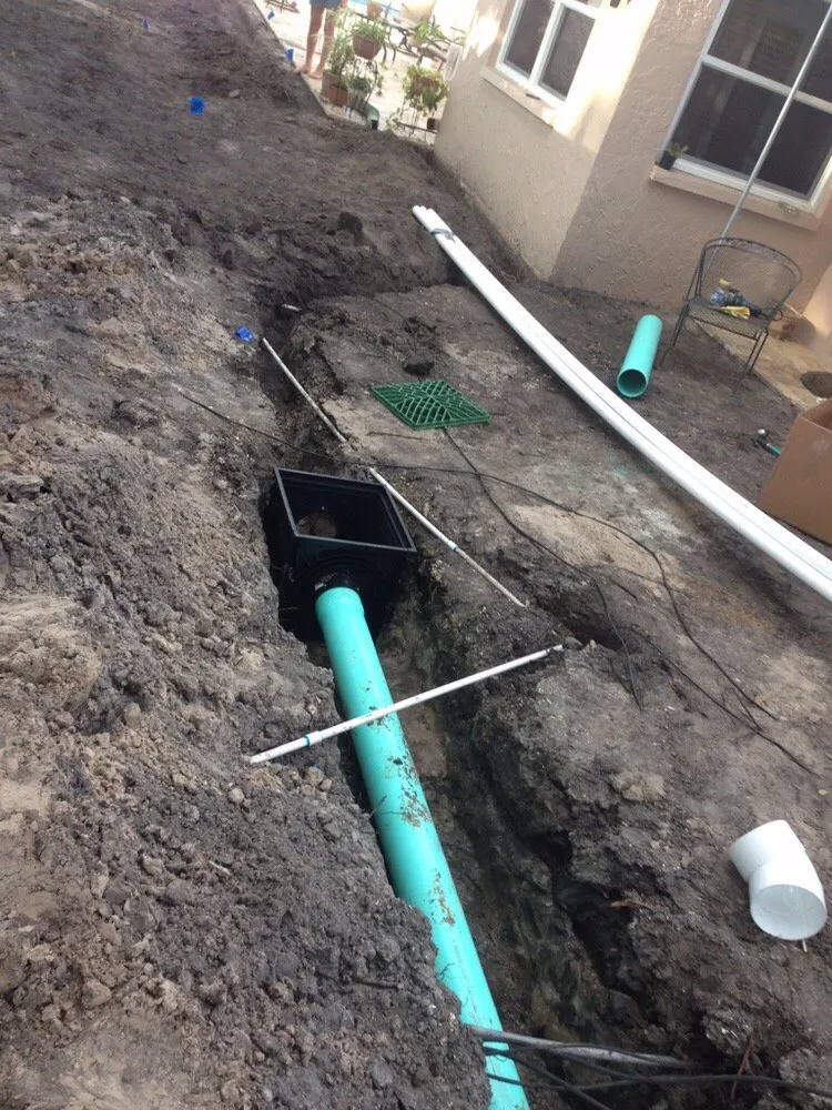 Top-rated landscaping services experts serving St. Petersburg, FL - Master Gardener Landscaping