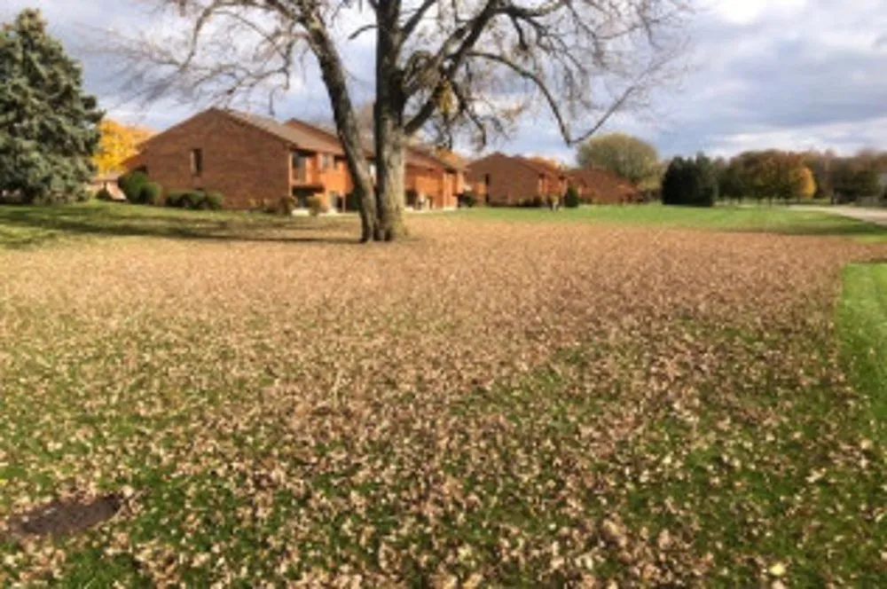 Affordable outdoor landscaping for homes in Ada, MI by Master Gardner