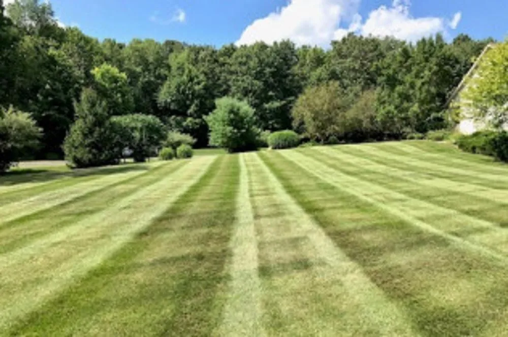 Expert yard cleanup service in Ada, MI - Master Gardner
