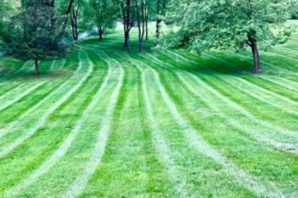 Top-rated lawn care service for residential properties across Ada, MI - Master Gardner