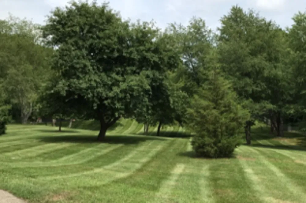 Reliable landscaping services for beautiful yards in Ada, MI by Master Gardner