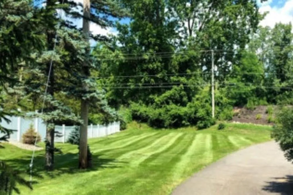 Expert yard maintenance for year-round maintenance in Ada, MI by Master Gardner