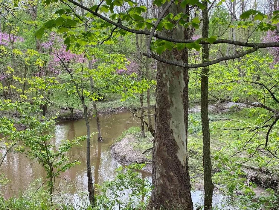 Top-rated landscape design for outdoor upgrades across Ada, MI - Master Gardner