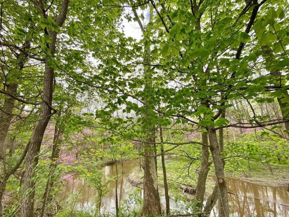 Affordable garden landscaping experts serving Ada, MI - Master Gardner