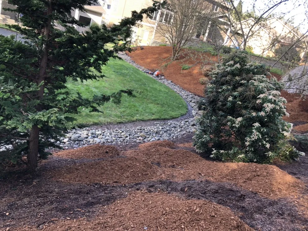 Reliable lawn care service in Bremerton, WA - Master Green Landscaping