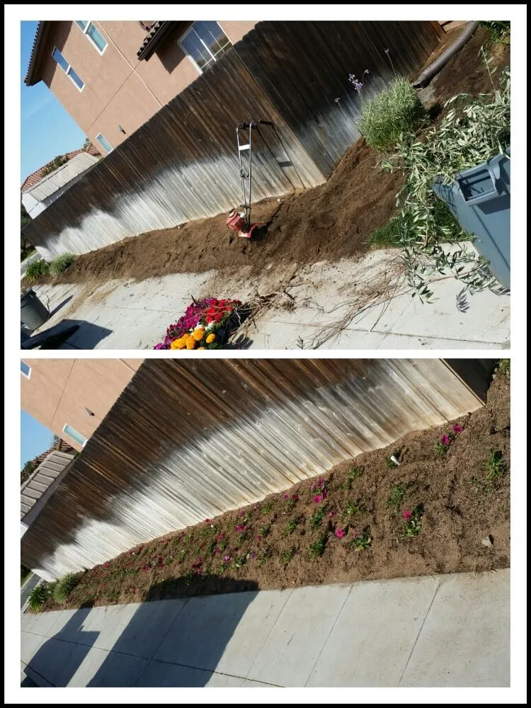 Reliable landscaping services with custom design across Fresno, CA - Master Image Gardening