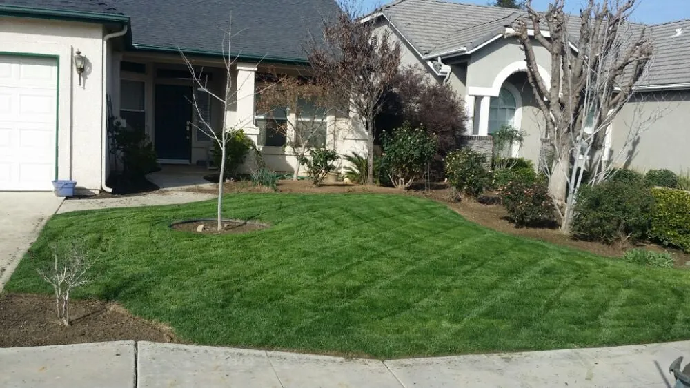 Local outdoor landscaping for year-round maintenance across Fresno, CA - Master Image Gardening