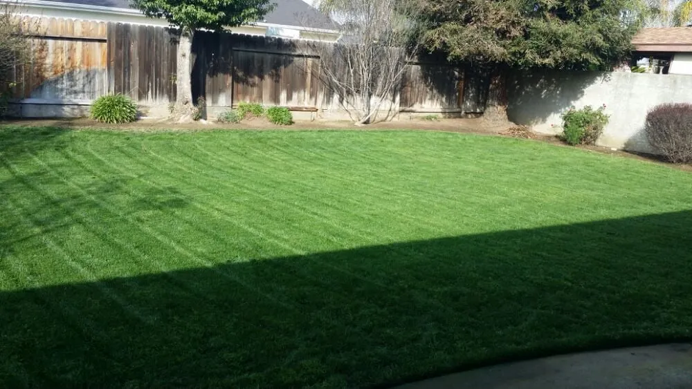 Professional yard maintenance experts serving Fresno, CA - Master Image Gardening