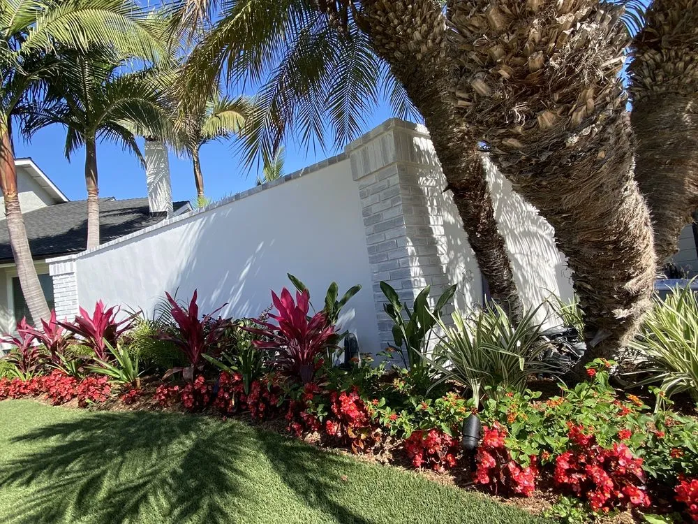 Trusted lawn care service for year-round maintenance across Westminster, CA - Master Landscape & Maintenance