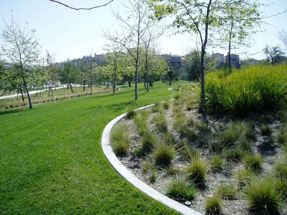 Local yard cleanup service experts serving Westminster, CA - Master Landscape & Maintenance