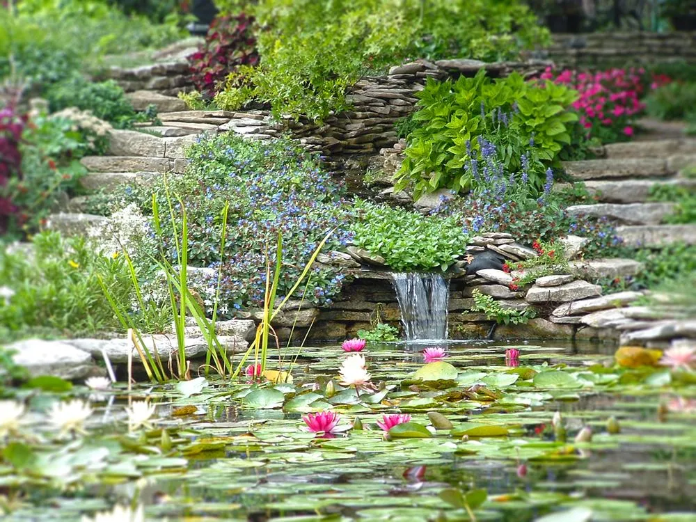 Top-rated lawn care service with custom design across Manhattan, KS - Master Landscape Inc