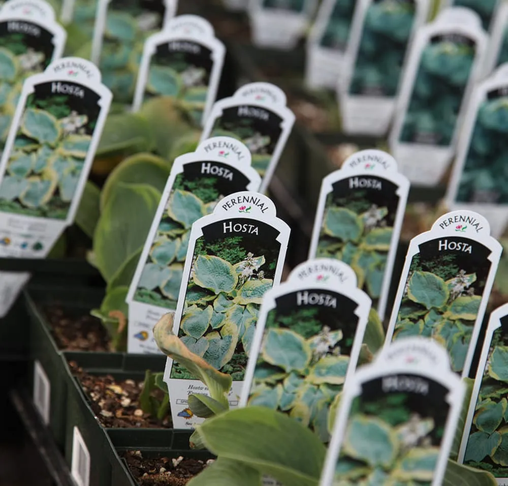 Reliable landscape design for homes in Manhattan, KS by Master Landscape Inc