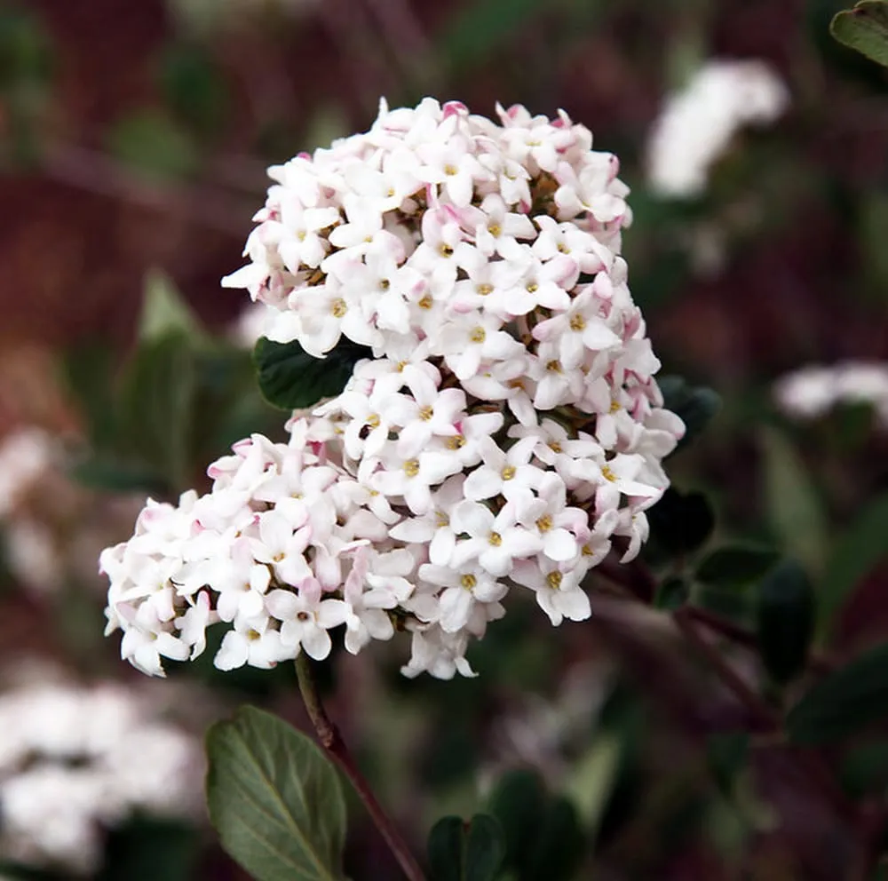 Reliable landscape installation near you across Manhattan, KS - Master Landscape Inc