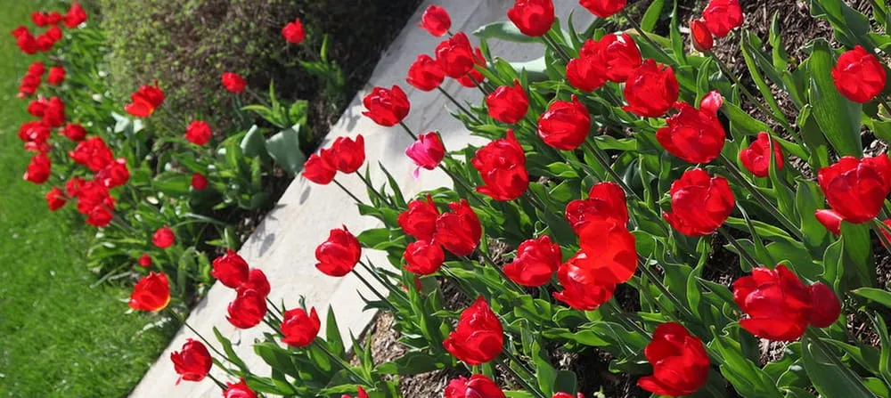 Trusted garden landscaping for beautiful yards across Manhattan, KS - Master Landscape Inc