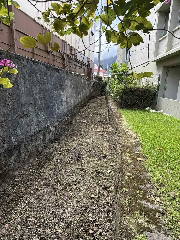 Expert yard cleanup service in Urban Honolulu, HI - Master Landscaping and Yard Maintenance