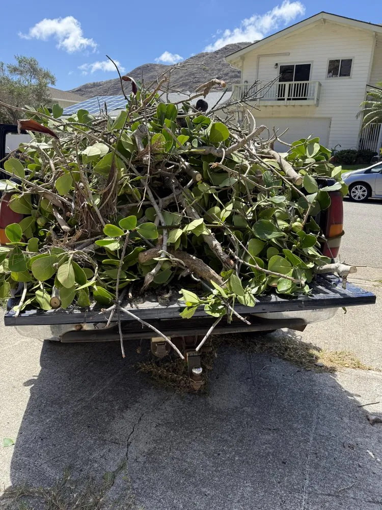 Trusted yard cleanup service in Urban Honolulu, HI - Master Landscaping and Yard Maintenance