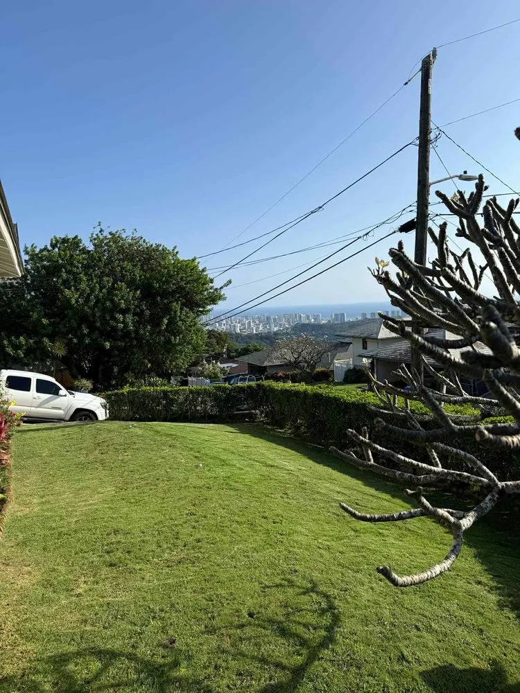 Top-rated yard cleanup service in Urban Honolulu, HI - Master Landscaping and Yard Maintenance