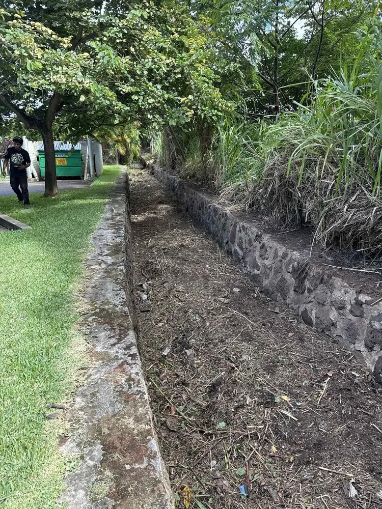 Top-rated garden landscaping for outdoor upgrades in Urban Honolulu, HI by Master Landscaping and Yard Maintenance