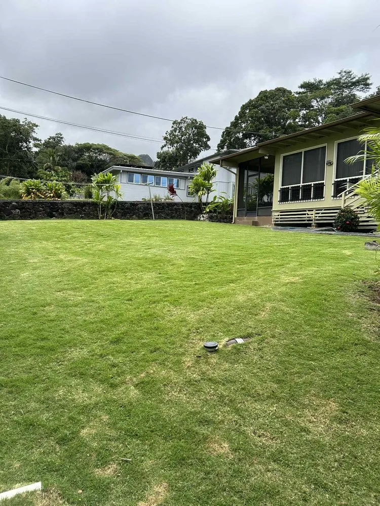 Custom outdoor landscaping in Urban Honolulu, HI - Master Landscaping and Yard Maintenance