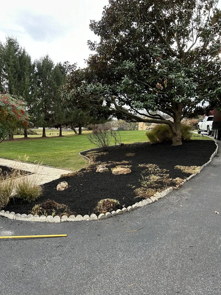 Top-rated yard maintenance in Essex, MD by Master Landscaping Service