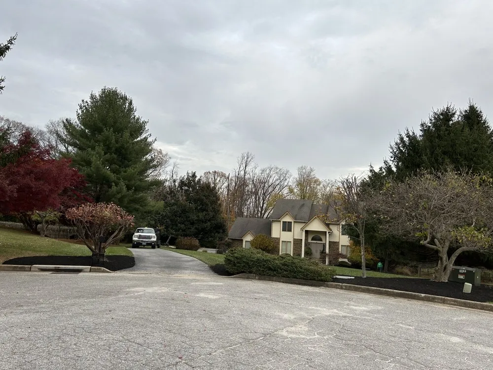 Affordable lawn care service in Essex, MD by Master Landscaping Service