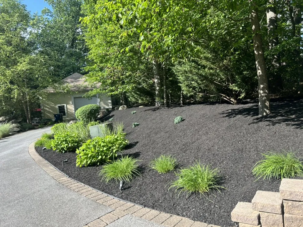 Custom outdoor landscaping experts serving Essex, MD - Master Landscaping Service