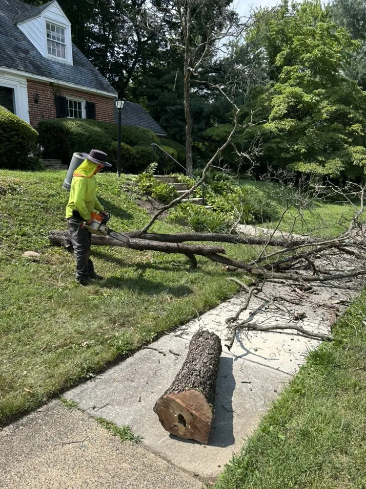 Trusted yard maintenance experts serving Essex, MD - Master Landscaping Service