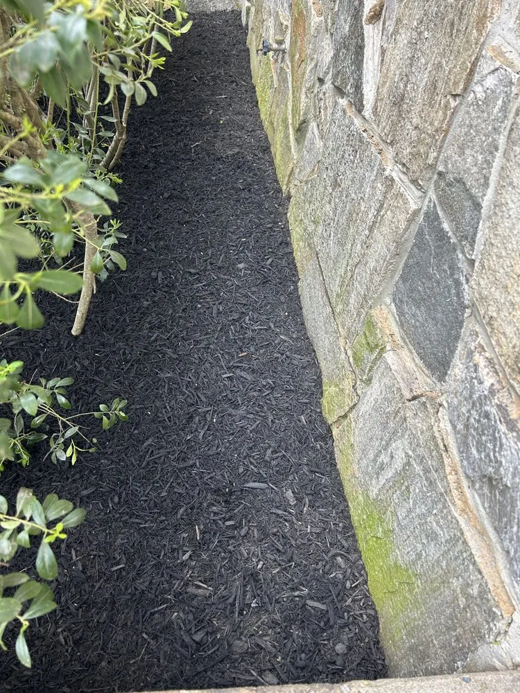 Affordable lawn care service in Essex, MD - Master Landscaping Service