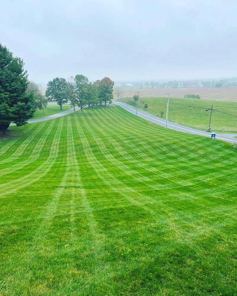 Professional lawn care service in Essex, MD by Master Landscaping Service