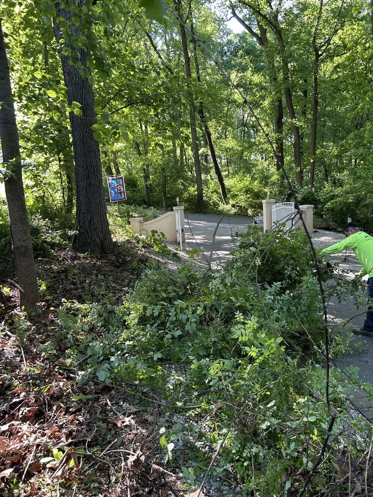 Professional yard cleanup service experts serving Essex, MD - Master Landscaping Service