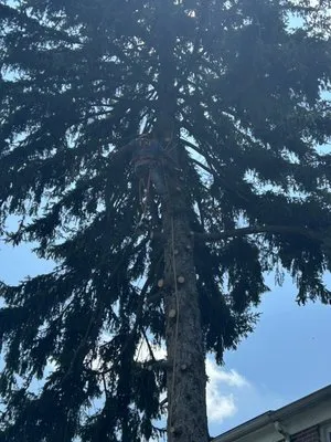 Master Landscaping Service