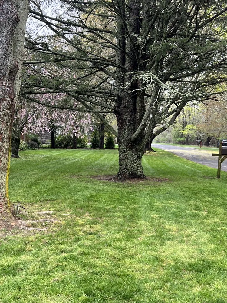 Trusted landscaping services with custom design across Southold, NY - Master Landscaping