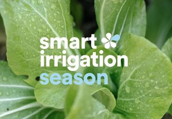 Custom residential landscaping for year-round maintenance across Lorain, OH - Master Landscaping Sprinklers