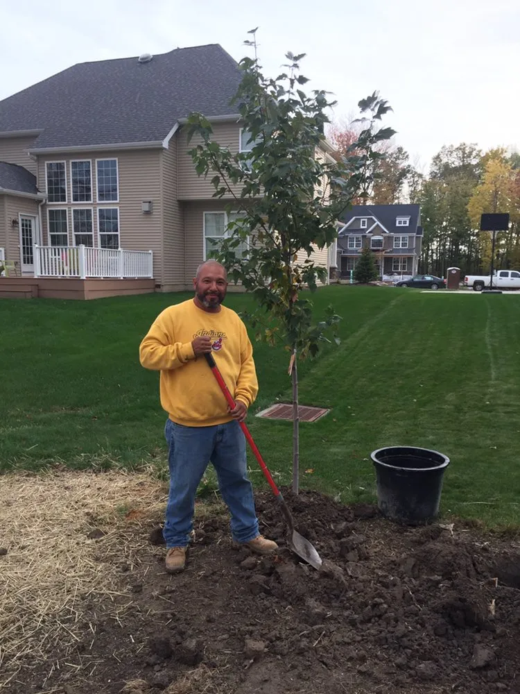 Expert landscaping services experts serving Lorain, OH - Master Landscaping Sprinklers