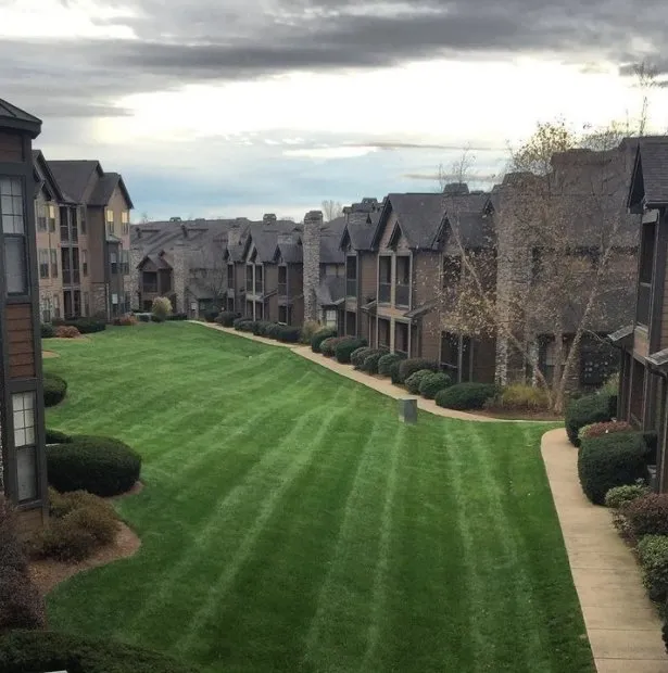 Reliable lawn care service with custom design in Lorain, OH by Master Landscaping Sprinklers