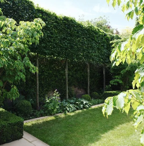 Custom lawn care service for year-round maintenance across Lorain, OH - Master Landscaping Sprinklers