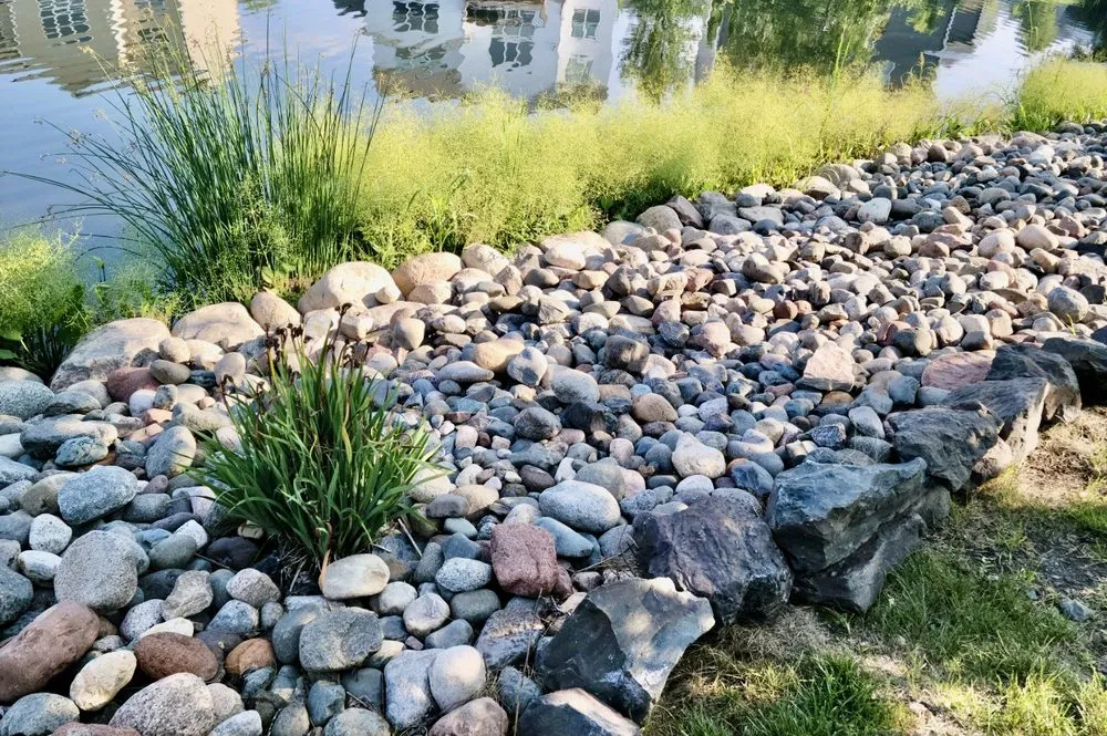 Reliable landscaping services experts serving Maple Grove, MN - Master Lawn Care & Landscaping Service