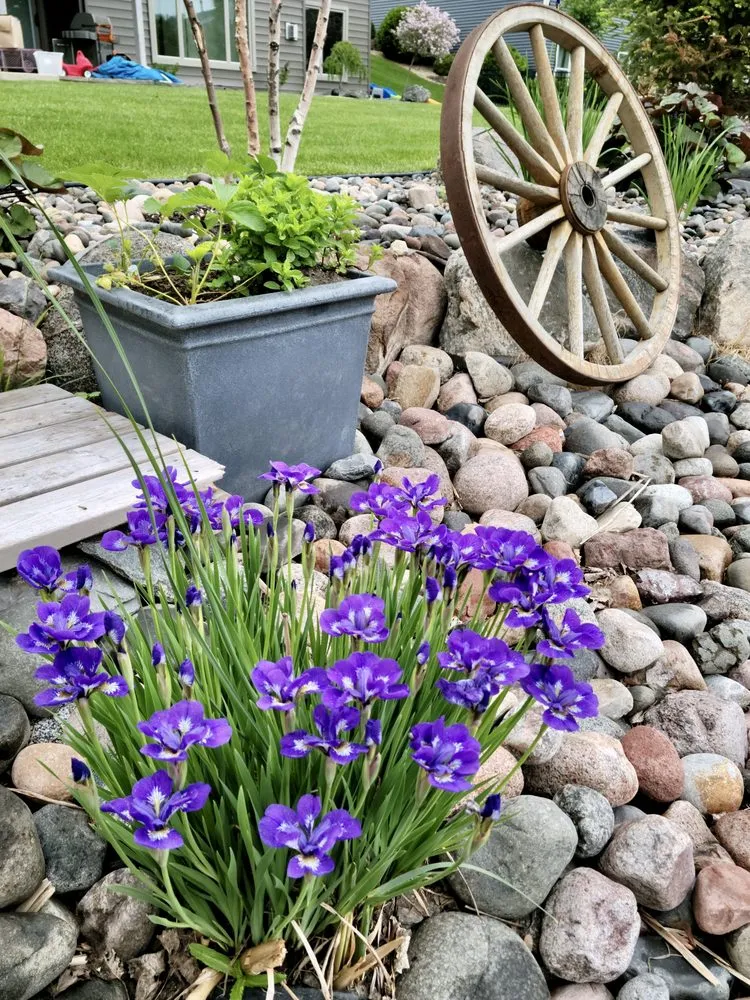 Custom garden landscaping with custom design in Maple Grove, MN by Master Lawn Care & Landscaping Service