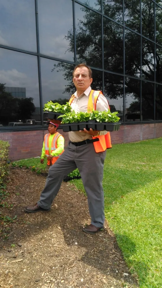 Affordable garden landscaping in Houston, TX by Master Lawn Care