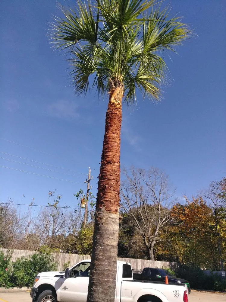 Custom lawn care service experts serving Houston, TX - Master Lawn Care