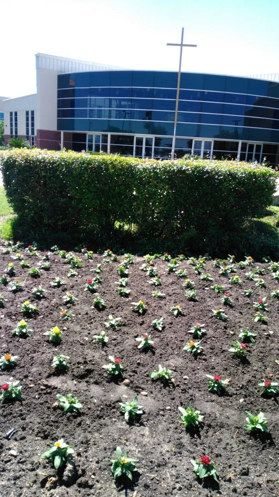 Professional landscaping services near you in Houston, TX by Master Lawn Care