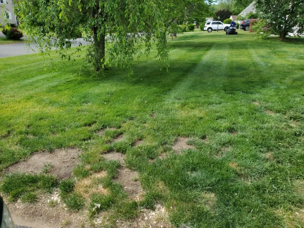 Local landscaping services in Springfield, MA - Master Lawn Care Solution