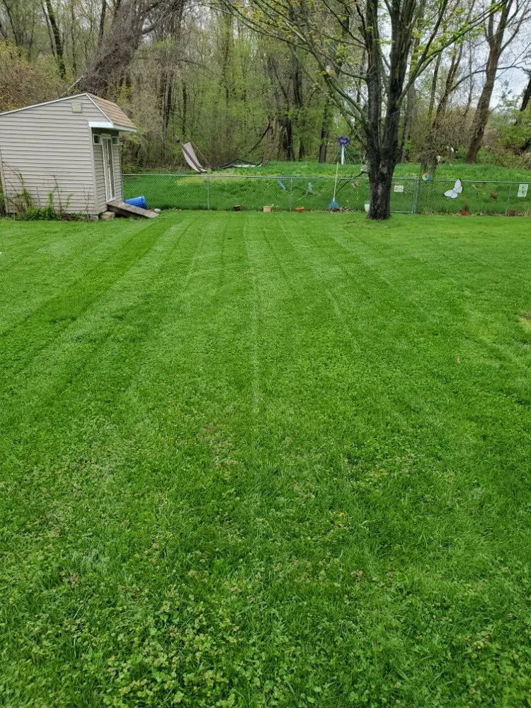 Expert residential landscaping experts serving Springfield, MA - Master Lawn Care Solution